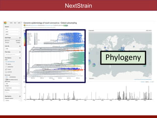 Phylogeny
NextStrain
 