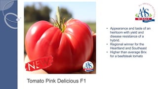 Tomato Pink Delicious F1
• Appearance and taste of an
heirloom with yield and
disease resistance of a
hybrid.
• Regional winner for the
Heartland and Southeast
• Higher than average Brix
for a beefsteak tomato
 