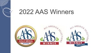 2022 AAS Winners
 