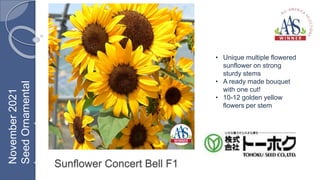 Sunflower Concert Bell F1
• Unique multiple flowered
sunflower on strong
sturdy stems
• A ready made bouquet
with one cut!
• 10-12 golden yellow
flowers per stem
November
2021
Seed
Ornamental
Inground
 