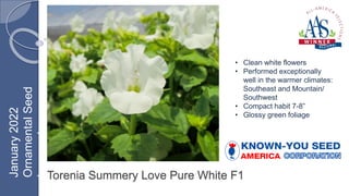 Torenia Summery Love Pure White F1
• Clean white flowers
• Performed exceptionally
well in the warmer climates:
Southeast and Mountain/
Southwest
• Compact habit 7-8”
• Glossy green foliage
January
2022
Ornamental
Seed
Inground
 