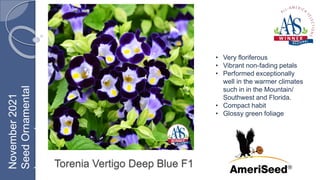 Torenia Vertigo Deep Blue F1
• Very floriferous
• Vibrant non-fading petals
• Performed exceptionally
well in the warmer climates
such in in the Mountain/
Southwest and Florida.
• Compact habit
• Glossy green foliage
November
2021
Seed
Ornamental
Inground
 