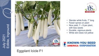 Eggplant Icicle F1
• Slender white fruits, 7” long
• Fewer spines on plant
• Nice yield, 7 – 8 per plant,
with less seeds
• Durable, vigorous plants
• White skin does not yellow
July
2021
Edible,
Inground
 