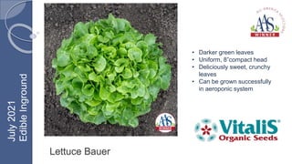Lettuce Bauer
• Darker green leaves
• Uniform, 8”compact head
• Deliciously sweet, crunchy
leaves
• Can be grown successfully
in aeroponic system
July
2021
Edible
Inground
 