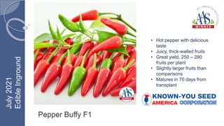 Pepper Buffy F1
• Hot pepper with delicious
taste
• Juicy, thick-walled fruits
• Great yield, 250 – 280
fruits per plant
• Slightly larger fruits than
comparisons
• Matures in 70 days from
transplant
July
2021
Edible
Inground
 