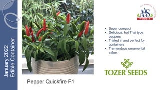 Pepper Quickfire F1
• Super compact
• Delicious, hot Thai type
peppers
• Trialed in and perfect for
containers
• Tremendous ornamental
value
January
2022
Edible
Container
 