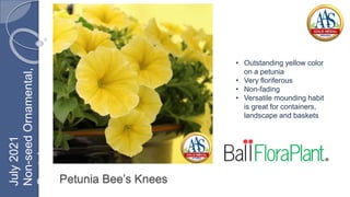 Petunia Bee’s Knees
• Outstanding yellow color
on a petunia
• Very floriferous
• Non-fading
• Versatile mounding habit
is great for containers,
landscape and baskets
July
2021
Non-seed
Ornamental,
Container
 