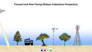 Forward and Rear Facing Oblique Collections Perspective
 