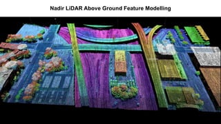 Nadir LiDAR Above Ground Feature Modelling
 