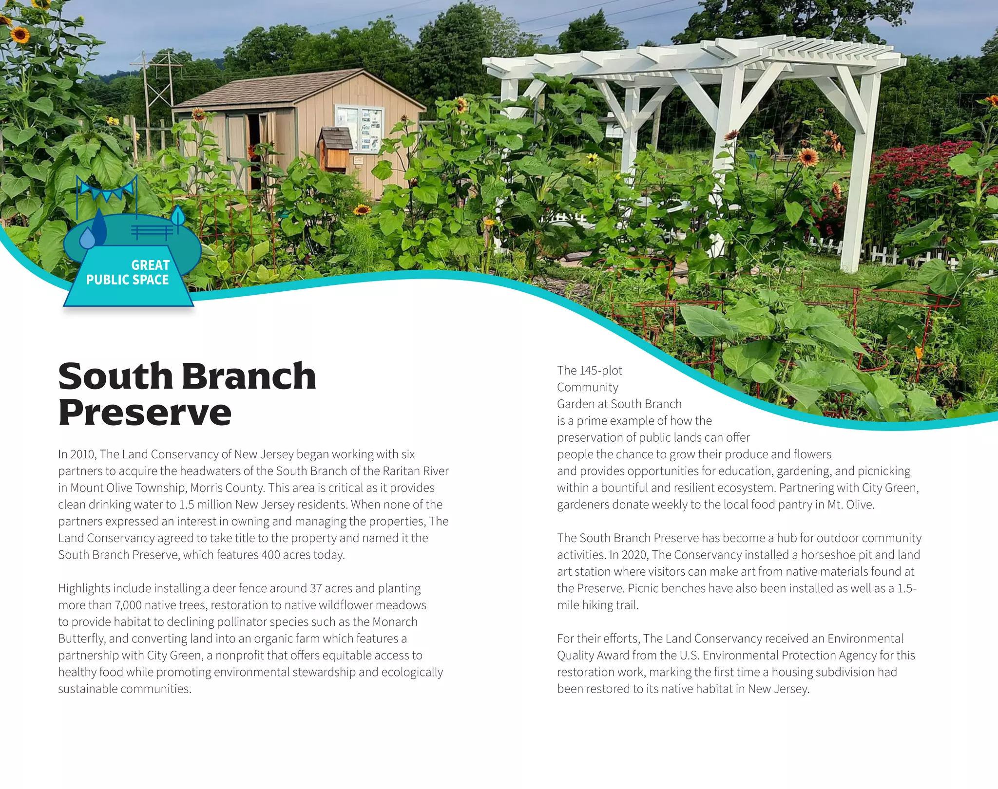 The 145-plot
Community
Garden at South Branch
is a prime example of how the
preservation of public lands can offer
people the chance to grow their produce and flowers
and provides opportunities for education, gardening, and picnicking
within a bountiful and resilient ecosystem. Partnering with City Green,
gardeners donate weekly to the local food pantry in Mt. Olive.
The South Branch Preserve has become a hub for outdoor community
activities. In 2020, The Conservancy installed a horseshoe pit and land
art station where visitors can make art from native materials found at
the Preserve. Picnic benches have also been installed as well as a 1.5-
mile hiking trail.
For their efforts, The Land Conservancy received an Environmental
Quality Award from the U.S. Environmental Protection Agency for this
restoration work, marking the first time a housing subdivision had
been restored to its native habitat in New Jersey.
In 2010, The Land Conservancy of New Jersey began working with six
partners to acquire the headwaters of the South Branch of the Raritan River
in Mount Olive Township, Morris County. This area is critical as it provides
clean drinking water to 1.5 million New Jersey residents. When none of the
partners expressed an interest in owning and managing the properties, The
Land Conservancy agreed to take title to the property and named it the
South Branch Preserve, which features 400 acres today.
Highlights include installing a deer fence around 37 acres and planting
more than 7,000 native trees, restoration to native wildflower meadows
to provide habitat to declining pollinator species such as the Monarch
Butterfly, and converting land into an organic farm which features a
partnership with City Green, a nonprofit that offers equitable access to
healthy food while promoting environmental stewardship and ecologically
sustainable communities.
South Branch
Preserve
GREAT
PUBLIC SPACE
 