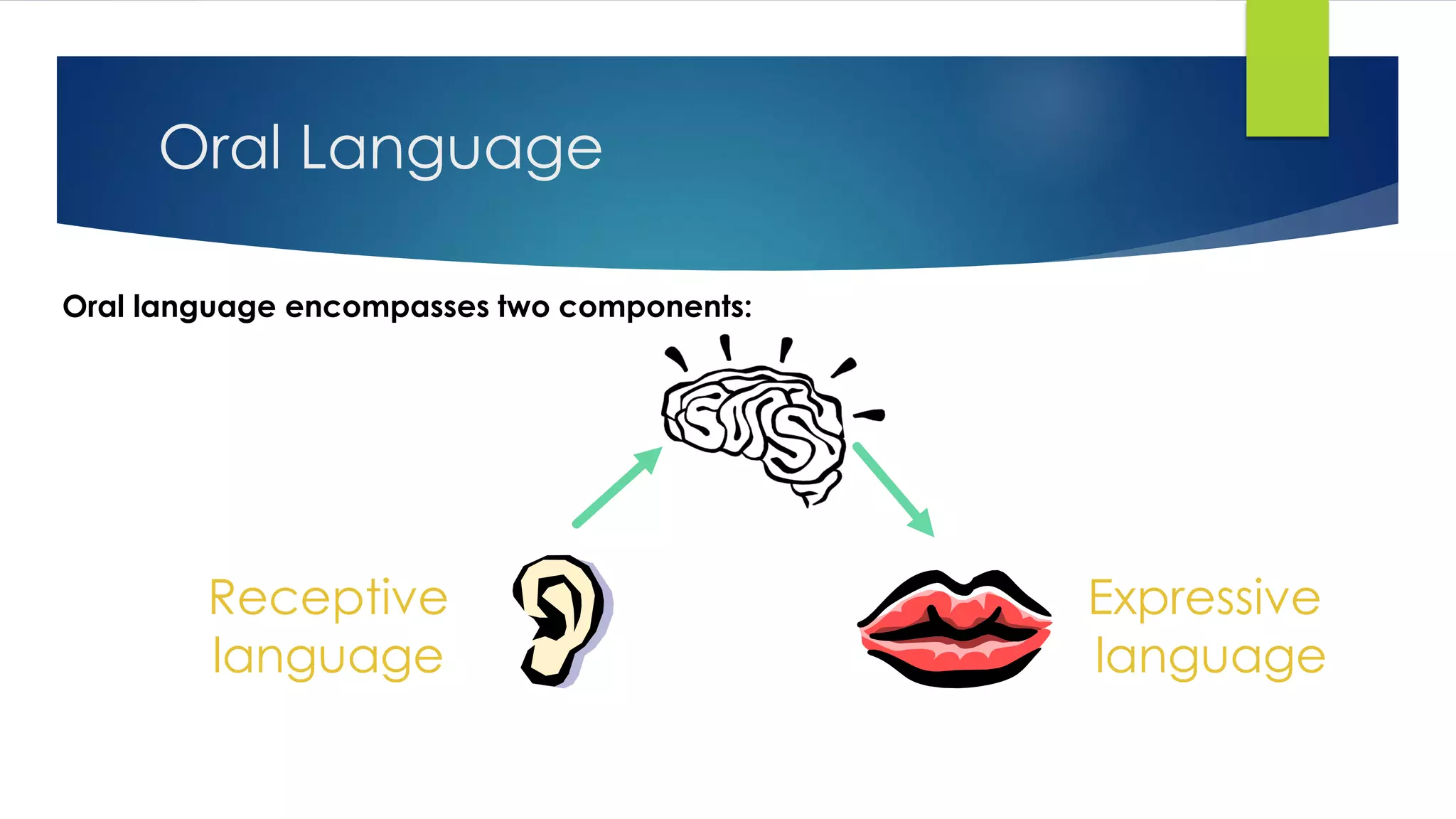 Oral Language
Oral language encompasses two components:
Receptive
language
Expressive
language
 