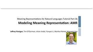 Meaning Representations for Natural Languages:  Design, Models and Applications