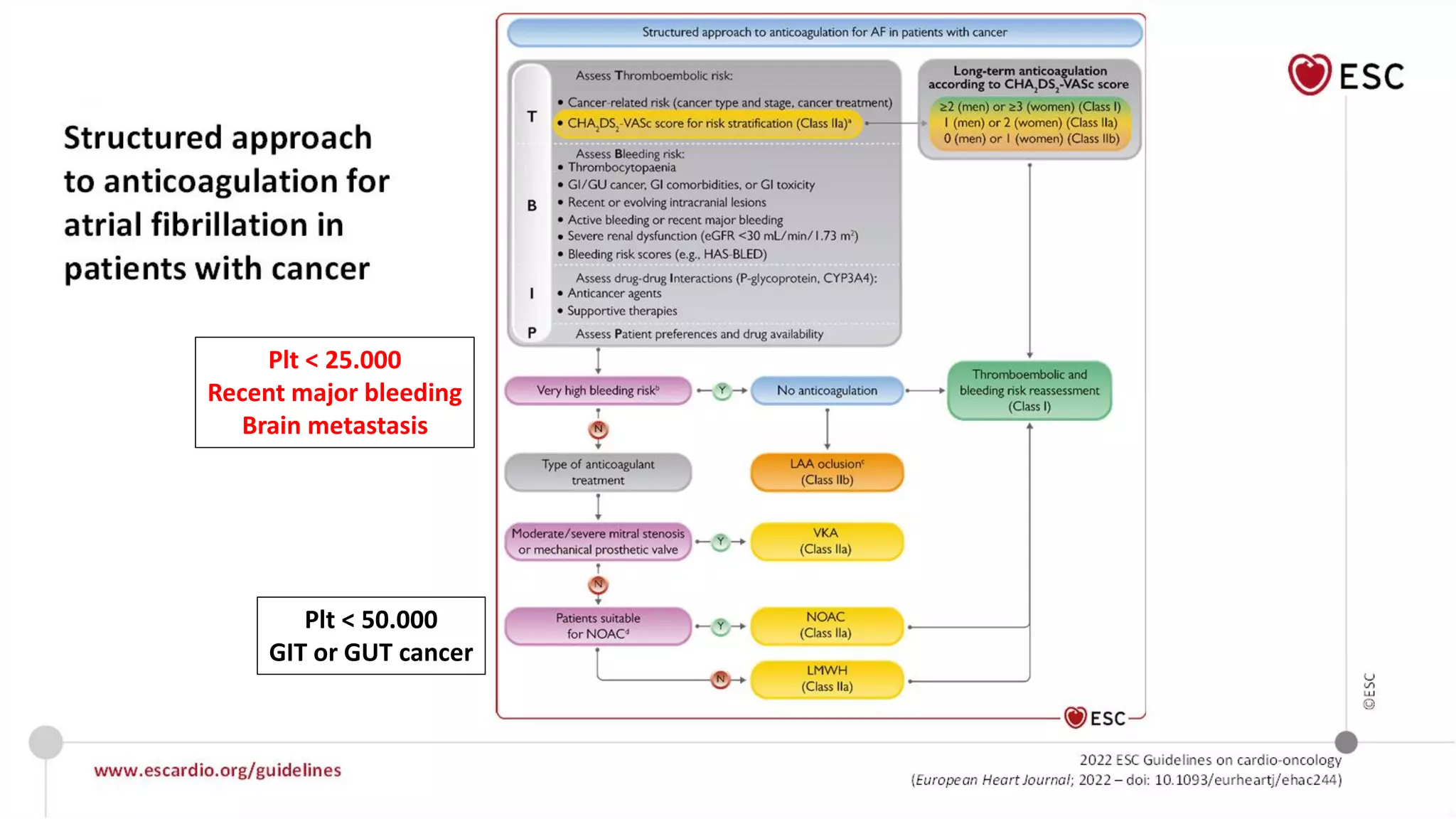 Cardio oncology guidelines ESC 2022 | PDF