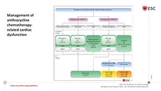 Cardio oncology guidelines ESC 2022 | PDF