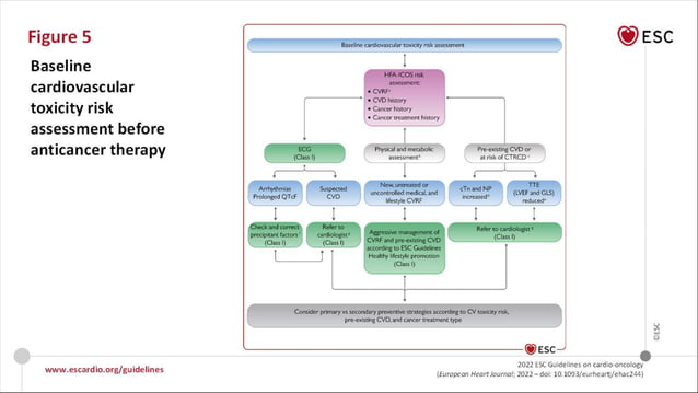 2022 ESC guidelines of Cardio Oncology | PPTX | Artificial Intelligence ...