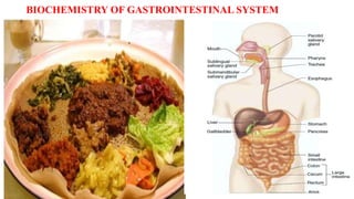 BIOCHEMISTRY OF GASTROINTESTINAL SYSTEM
 