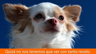 13
Quizá no nos tenemos que ver con tanto recelo.
 