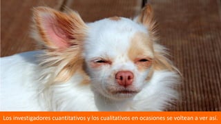 4
Los investigadores cuantitativos y los cualitativos en ocasiones se voltean a ver así.
 