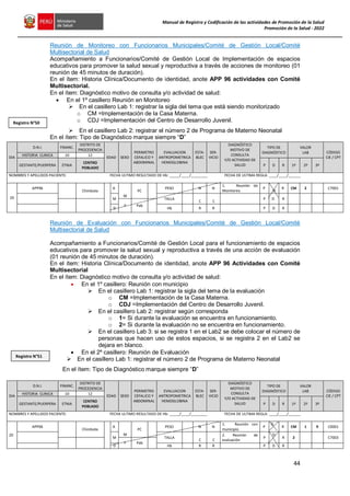 Promsa 2022_Manual_His_Promsa. PROMOCION DE LA SALUD | PDF