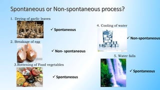 1. Drying of garlic leaves
2. Breakage of egg
3.Rottening of Food vegetables
4. Cooling of water
5. Water falls
 Spontaneous
 Non- spontaneous
 Spontaneous
 Non-spontaneous
 Spontaneous
 