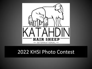 2022 KHSI Photo Contest
 