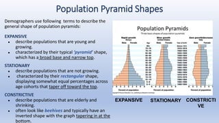 Population Pyramid Shapes
Demographers use following terms to describe the
general shape of population pyramids:
EXPANSIVE
● describe populations that are young and
growing.
● characterized by their typical ‘pyramid’ shape,
which has a broad base and narrow top.
STATIONARY
● describe populations that are not growing.
● characterized by their rectangular shape,
displaying somewhat equal percentages across
age cohorts that taper off toward the top.
CONSTRICTIVE
● describe populations that are elderly and
shrinking.
● often look like beehives and typically have an
inverted shape with the graph tapering in at the
bottom.
EXPANSIVE STATIONARY CONSTRICTI
VE
 
