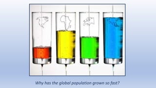 Why has the global population grown so fast?
 
