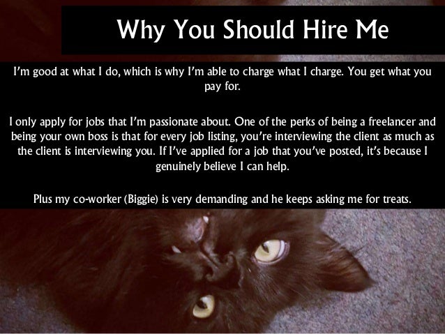 Why You Should Hire Me
I’m good at what I do, which is why I’m able to charge what I charge. You get what you
pay for.
I only apply for jobs that I’m passionate about. One of the perks of being a freelancer and
being your own boss is that for every job listing, you’re interviewing the client as much as
the client is interviewing you. If I’ve applied for a job that you’ve posted, it’s because I
genuinely believe I can help.
Plus my co-worker (Biggie) is very demanding and he keeps asking me for treats.
 