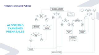ALGORITMO
EXÁMENES
PRENATALES
 