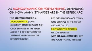 2022 Reflex arc Motor Functions of Spinal Cord (1).pptx