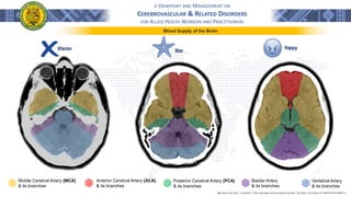 A VIEWPOINT AND MANAGEMENT ON
CEREBROVASCULAR & RELATED DISORDERS
FOR ALLIED HEALTH WORKERS AND PRACTITIONERS
Blood Supply of the Brain
֍ Lindsay, K.W., Bone, I., & Geraint, F. (2011). Neurology and neurosurgery illustrated - 5th Edition. 2011 Elsevier Ltd. ISBN 978-0-443-06957-4
Middle Cerebral Artery (MCA)
& its branches
Anterior Cerebral Artery (ACA)
& its branches
Posterior Cerebral Artery (PCA)
& its branches
Basilar Artery
& its branches
Vertebral Artery
& its branches
Happy
Star
Xfactor
 