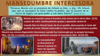 Moisés es conocido como el hombre más manso de la tierra (Nm. 12:3),
a pesar de sufrir continuamente quejas y oposición contra él.
Cuando Dios le ofreció hacer de él un pueblo, destruyendo al resto del
pueblo de Israel, Moisés intercedió en favor de su quejumbroso pueblo.
Mostró esa misma disposición intercesora cuando fue traicionado por su propia hermana
(Nm. 12:13); o cuando sus parientes quisieron usurpar el sacerdocio (Nm. 16:20-22).
La mansedumbre
se demuestra al
buscar la gracia en
favor de aquellos
que no la merecen.
 