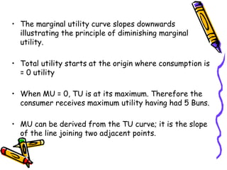 2022 The Theory of Utility .New ppt.pptx