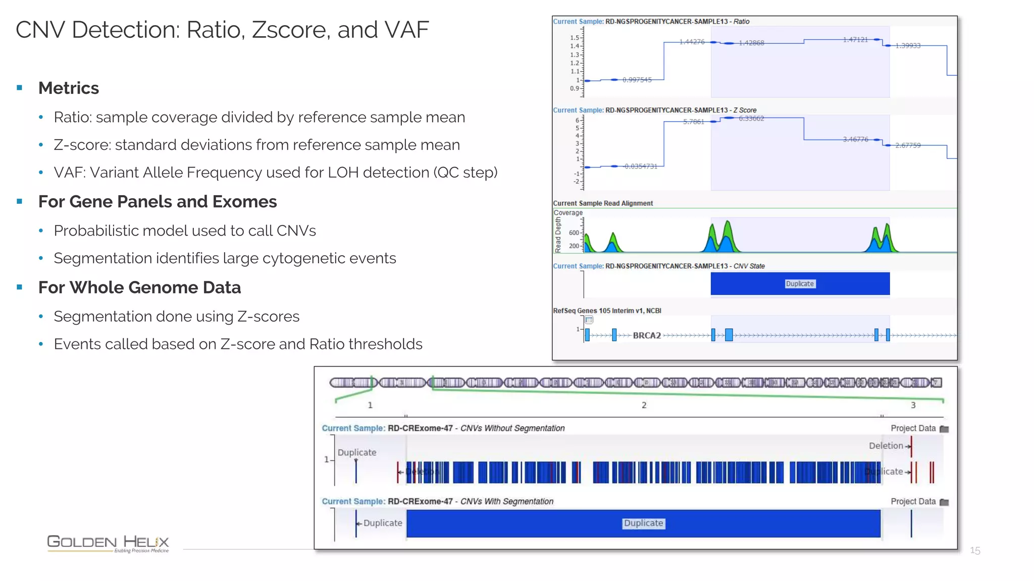 15
CNV Detection: Ratio, Zscore, and VAF
 Metrics
• Ratio: sample coverage divided by reference sample mean
• Z-score: standard deviations from reference sample mean
• VAF: Variant Allele Frequency used for LOH detection (QC step)
 For Gene Panels and Exomes
• Probabilistic model used to call CNVs
• Segmentation identifies large cytogenetic events
 For Whole Genome Data
• Segmentation done using Z-scores
• Events called based on Z-score and Ratio thresholds
 