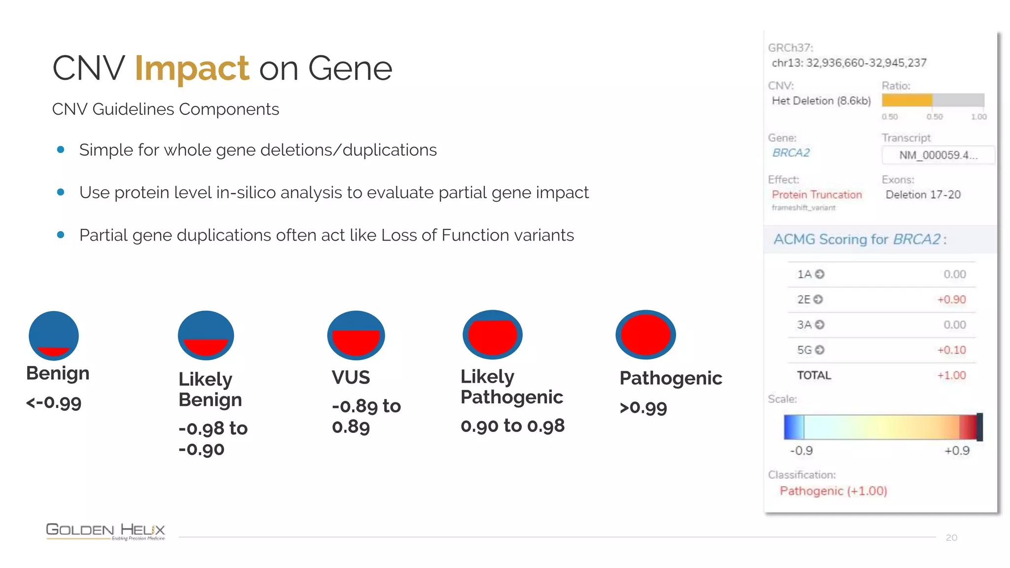 CNV Impact on Gene
20
CNV Guidelines Components
• Simple for whole gene deletions/duplications
• Use protein level in-silico analysis to evaluate partial gene impact
• Partial gene duplications often act like Loss of Function variants
Benign
<-0.99
Likely
Benign
-0.98 to
-0.90
VUS
-0.89 to
0.89
Likely
Pathogenic
0.90 to 0.98
Pathogenic
>0.99
 