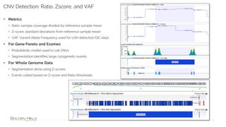 Segmentation Cnv Handling a Variety of CNV Caller Inputs with VarSeq | PPTX
