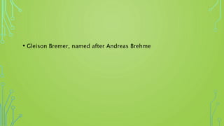 • Gleison Bremer, named after Andreas Brehme
 