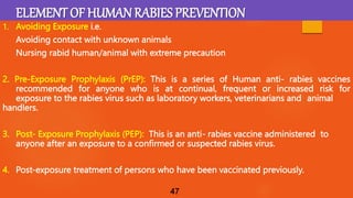 ANNUAL LECTURE SERIES ON ONE HEALTH APPROACH ON RABIES PREVENTION AND ...