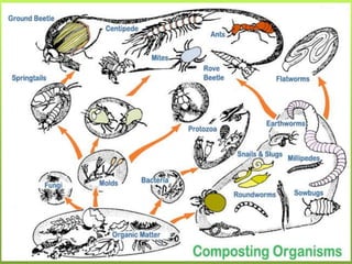 19) Hot composting and vermi-composting
are compatible?
a. True
b. False
 