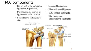 TFCC components
• Dorsal and Volar radioulnar
ligaments(Superficial )
• Deep ligaments known as
ligamentum subcruentum
• Central fibro-cartilaginous
disc
• Meniscal homologue
• Ulnar collateral ligament
• ECU Tendon subsheath
• Ulnolunate and
Ulnotriquetral ligaments
 