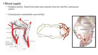 • Blood supply
• Periphery portion : branch from ulnar artery and also from Ant. and Post. interosseous
arteries
• Central portion :nourished by synovial fluid
 