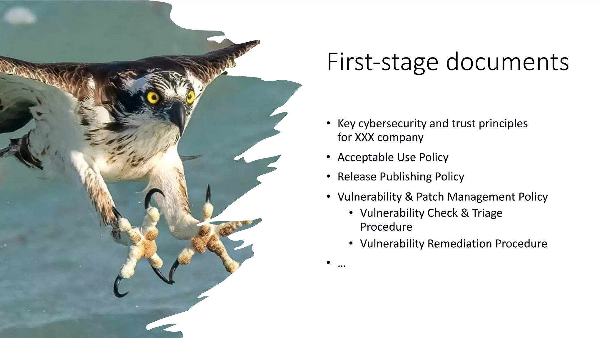 First-stage documents
• Key cybersecurity and trust principles
for XXX company
• Acceptable Use Policy
• Release Publishing Policy
• Vulnerability & Patch Management Policy
• Vulnerability Check & Triage
Procedure
• Vulnerability Remediation Procedure
• …
 