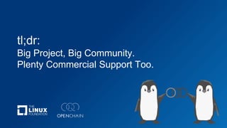 tl;dr:
Big Project, Big Community.
Plenty Commercial Support Too.
 