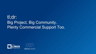 tl;dr:
Big Project, Big Community.
Plenty Commercial Support Too.
 