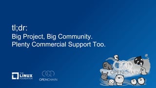 tl;dr:
Big Project, Big Community.
Plenty Commercial Support Too.
 