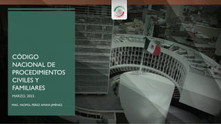 CÓDIGO
NACIONAL DE
PROCEDIMIENTOS
CIVILES Y
FAMILIARES
MARZO, 2023.
MAG. YAOPOL PÉREZ AMAYA JIMÉNEZ
 