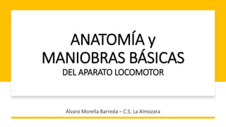 ANATOMÍA y
MANIOBRAS BÁSICAS
DEL APARATO LOCOMOTOR
Álvaro Morella Barreda – C.S. La Almozara
 