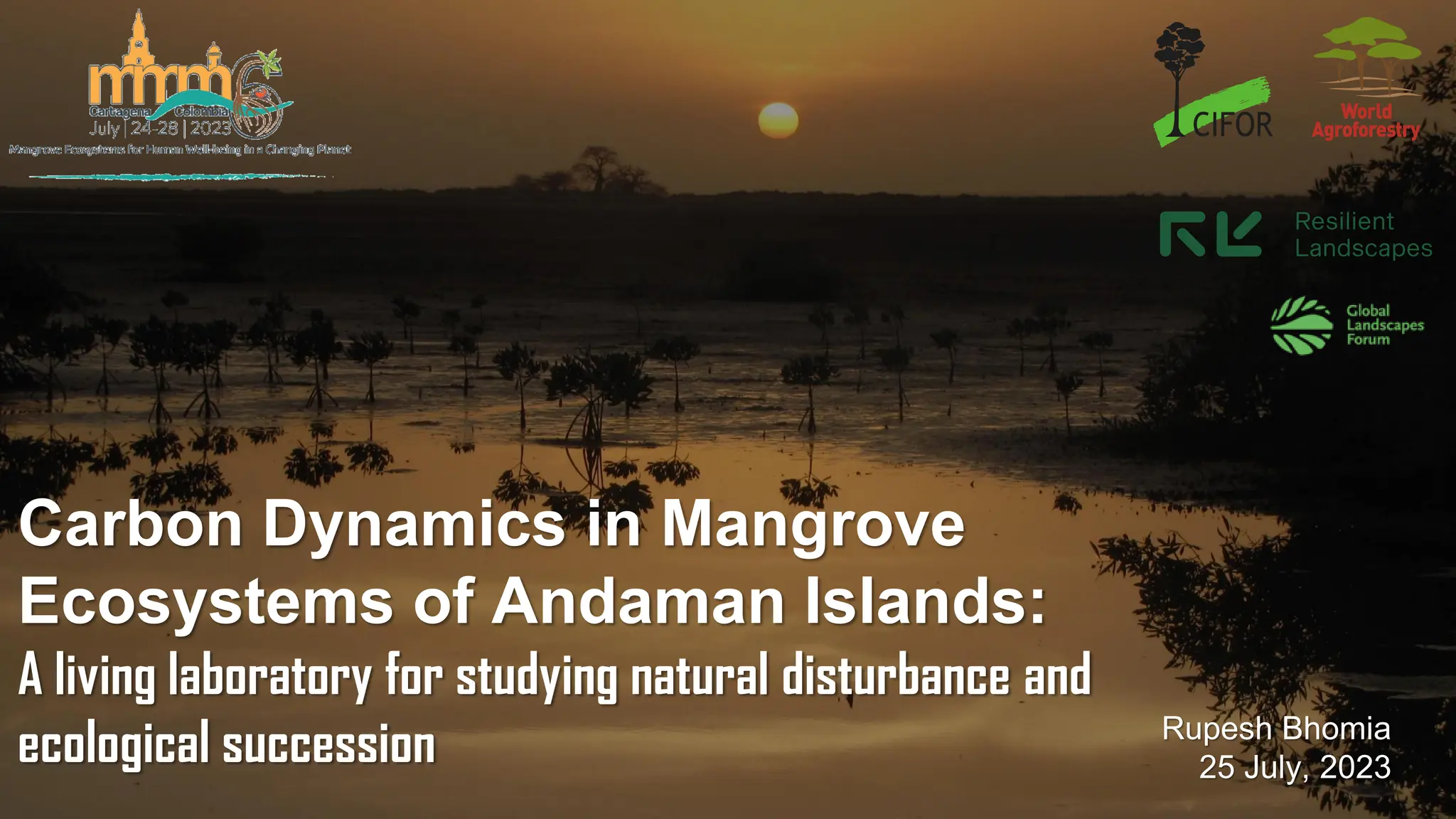 Carbon dynamics in mangrove ecosystems of Andaman Islands: A living ...