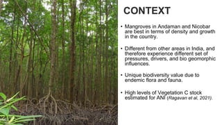 Carbon dynamics in mangrove ecosystems of Andaman Islands: A living ...