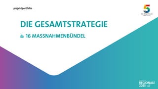 projektportfolio
DIE GESAMTSTRATEGIE
& 16 MASSNAHMENBÜNDEL
 